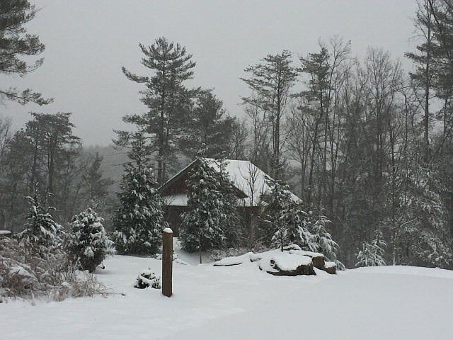 Main View