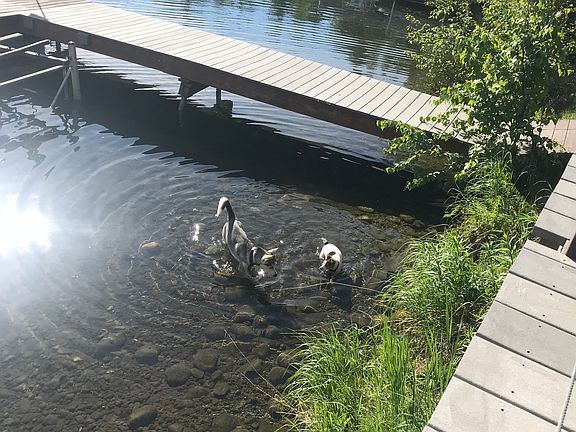 Swimming area