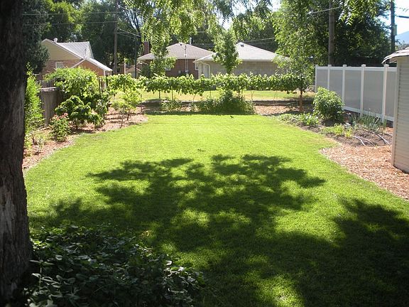 backyard, garden