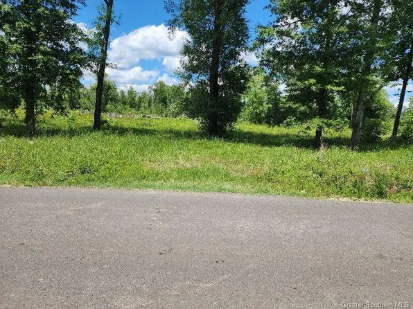 380 Andrew Mouhot Rd, Ragley, LA 70657