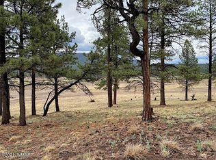 10 County Road N2157 #A, Alpine, AZ 85920