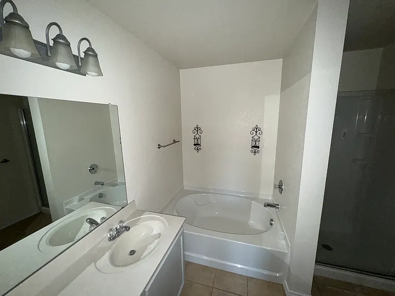 Master Bathroom Shower/Bath