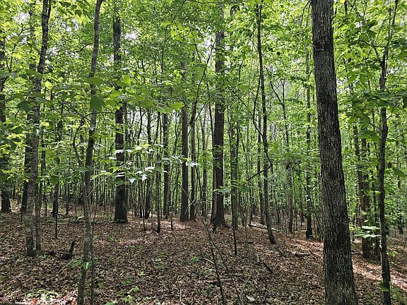 The central ridge is relatively level and could make a good home or cabin site.