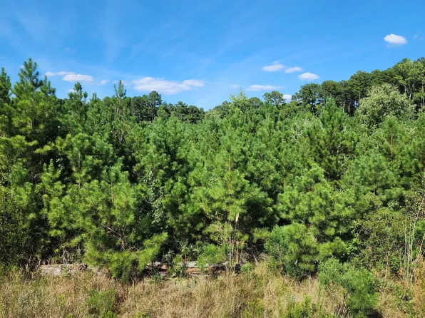 0 Ten Ten Rd, Apex, NC 27539