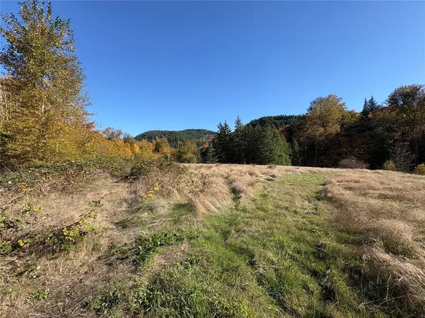 0 NKA Bond Road, Castle Rock, WA 98611