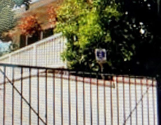 2nd image of 4565 Saltillo St