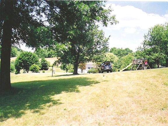 view of back yard facing street