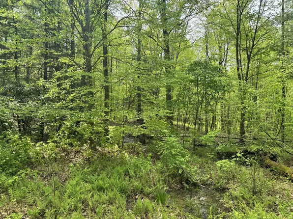 Route 1/1 Off Jettsville Rd, Richwood, WV 26261