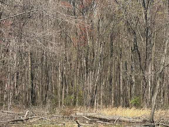 4th image of Barclay Cutoff Rd Parcel 132