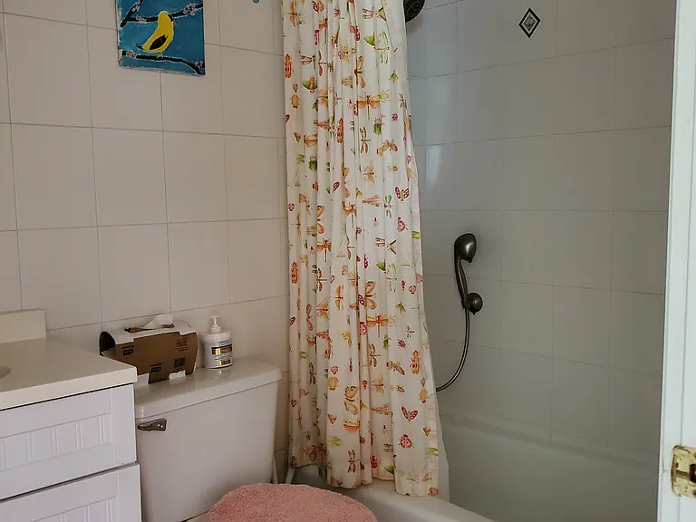 1 Thornapple Rd — Photo 7