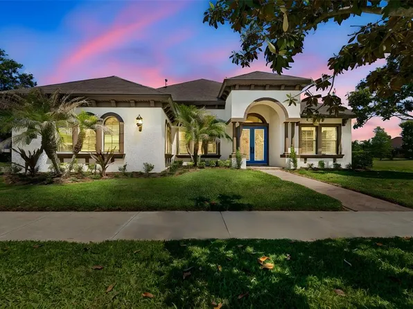 20439 Lace Cascade Rd, Land O Lakes, FL 34637