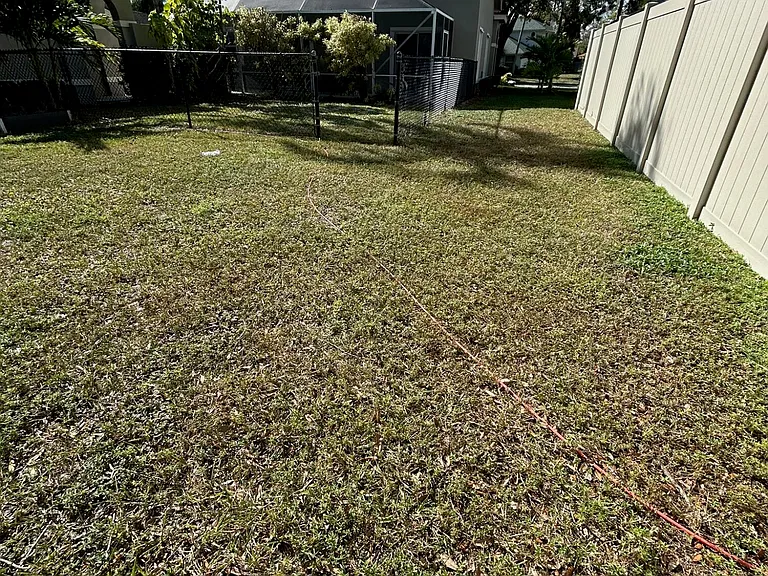 1136 Staghorn St — Photo 3