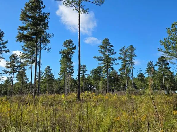 LOT 8 Millville Rd, Lawrenceville, VA 23868