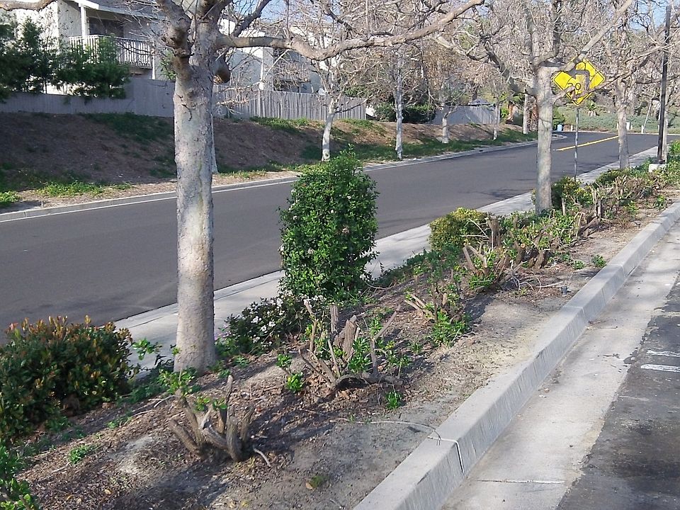 Street