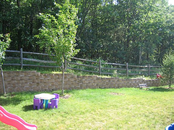 Back yard