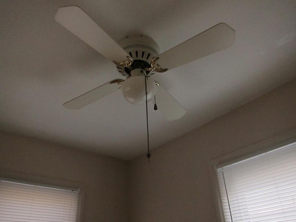 Ceiling fan