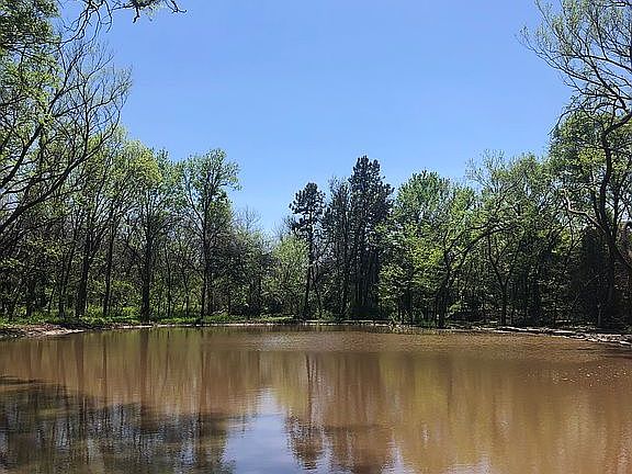 Pond