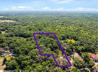 3633 Panther Path Rd, Lutz, FL 33559