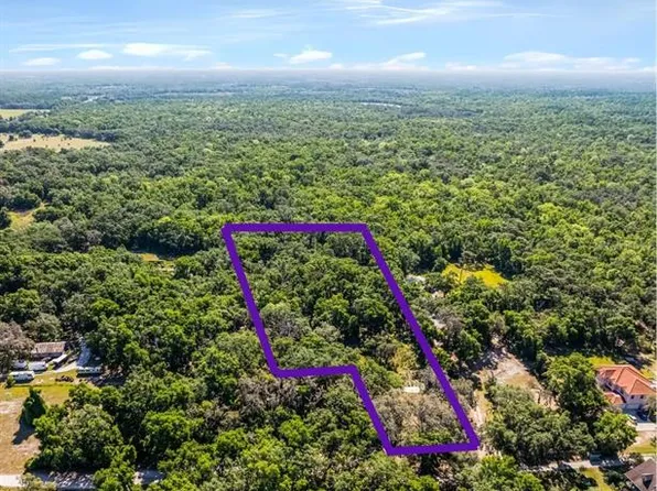 3633 Panther Path Rd, Lutz, FL 33559