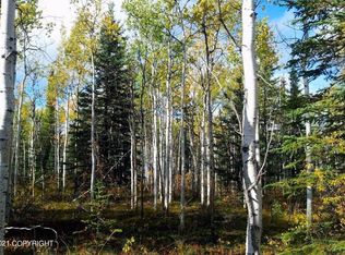 L7b9 Hanus St, Tok, AK 99780