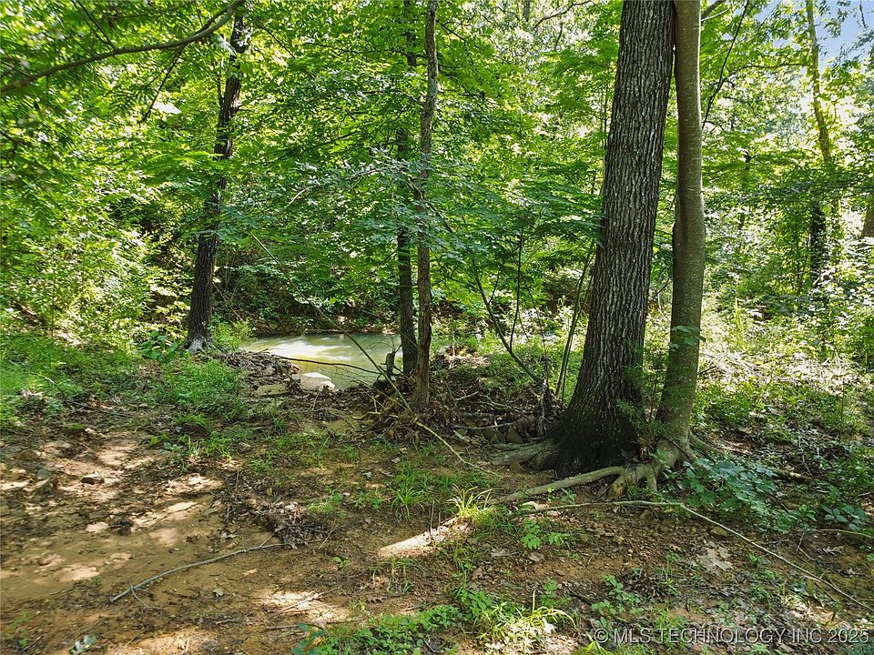 2nd image of Bristlecone Rd