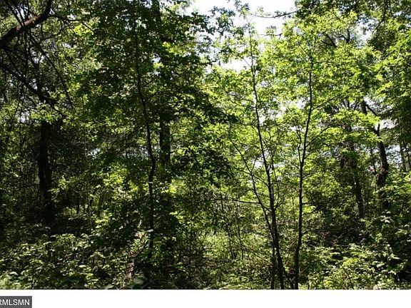 4th image of 35648 Pine Creek Trl