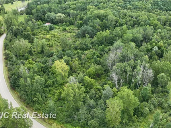 0 Hess Rd, Vassar, MI 48768