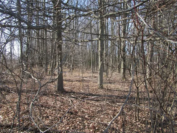 1 Middle Rd, Conneaut, OH 44030