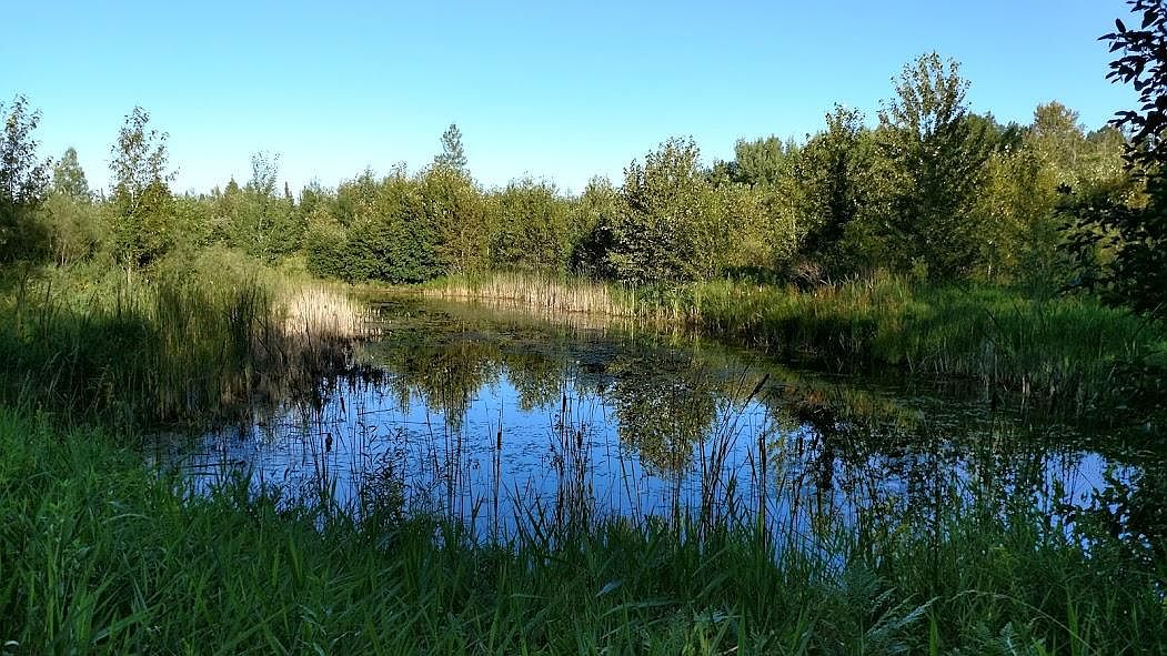 638 Highway 54 Acre, Hawks, MI 49743 Zillow