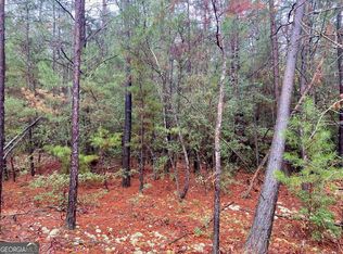 0 Hawk Ln, Roberta, GA 31078