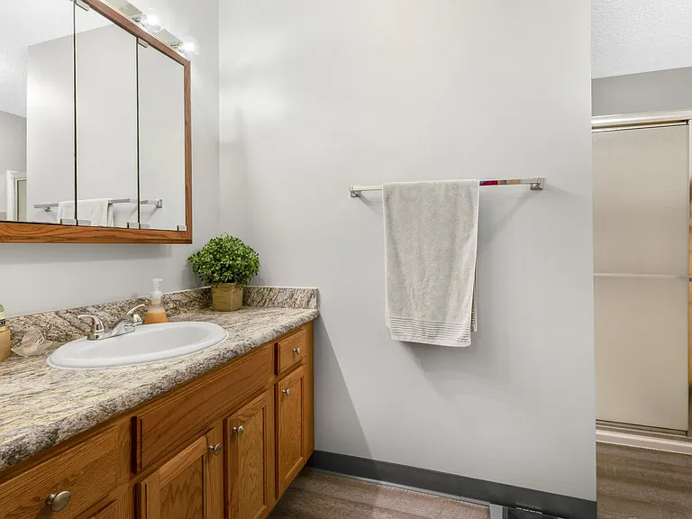 3785 Long Drive Primary Bathroom