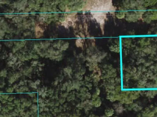 0 NE 116th Ter, Fort Mc Coy, FL 32134