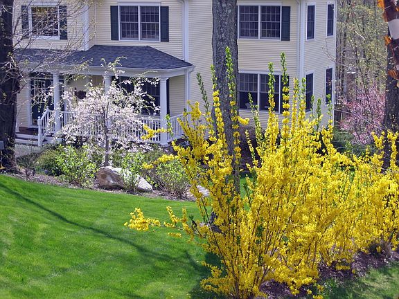 Professional Landscaping