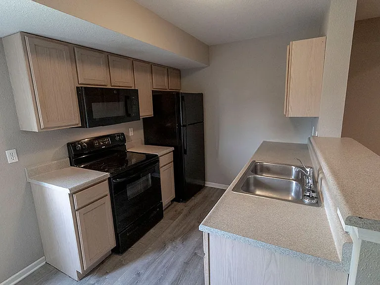 4001 Snowy Owl Dr — Photo 7