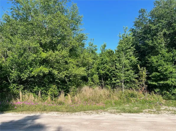 SE 35th Ct Lot 76, Summerfield, FL 34491