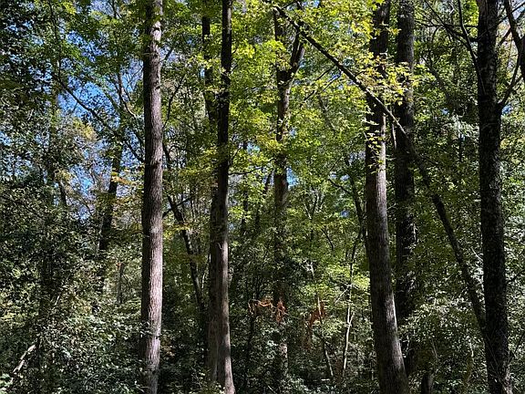 4th image of 0 Union Church Road