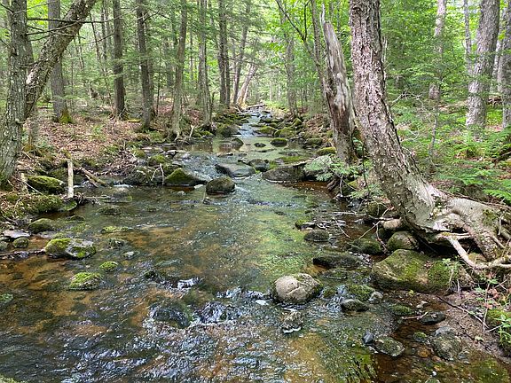 3rd image of 783 Half Township Road
