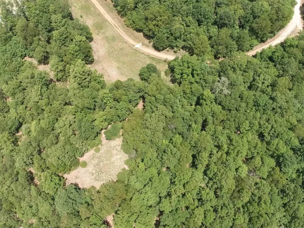 356-00041-000 Lakeshore Dr, Protem, MO 65733