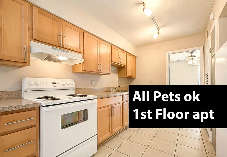 4220 Belvedere St #3 — Photo 1