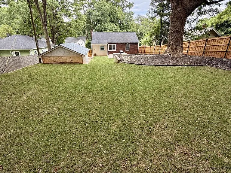 Upper backyard
