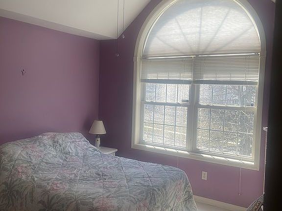 Vaulted ceiling bedroom 