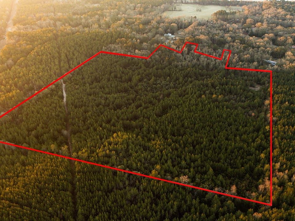 A46f4919 88e8 414d B87e 83ae0adc9fff