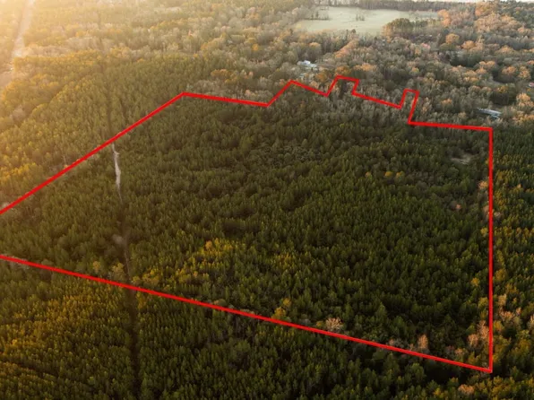 Foster McConnel Rd, Seminary, MS 39479