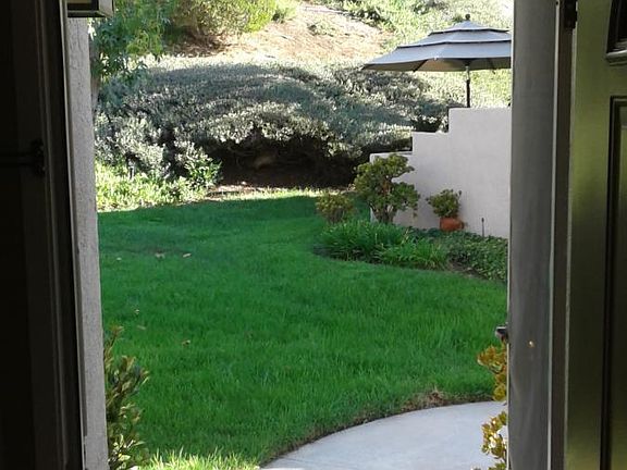 View from Front Door