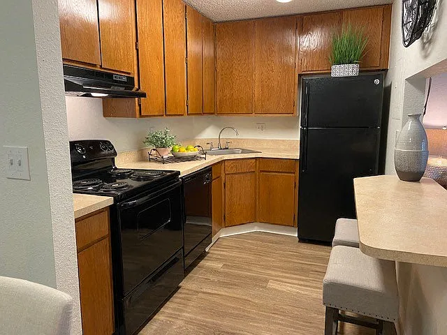Lake in the Woods Apartments — Photo 3