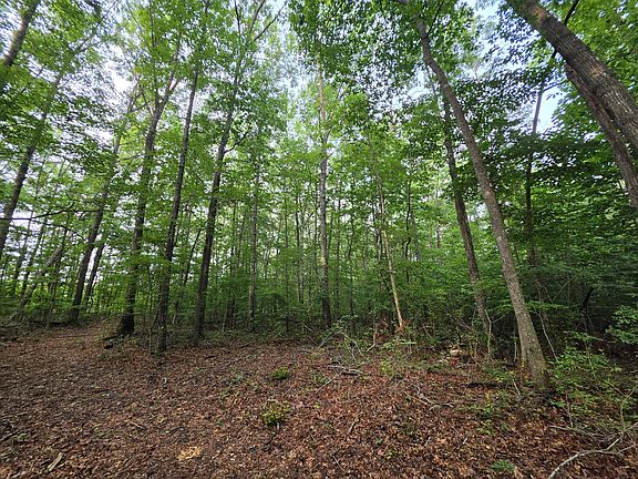 3rd image of 1 Adams Rd Lot 19