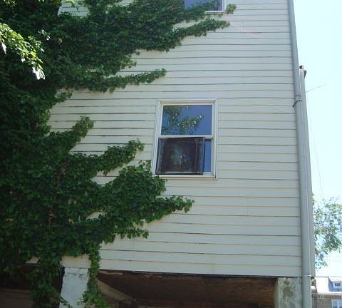 rear view