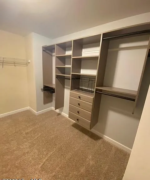 124 Little Bay Dr — Photo 8
