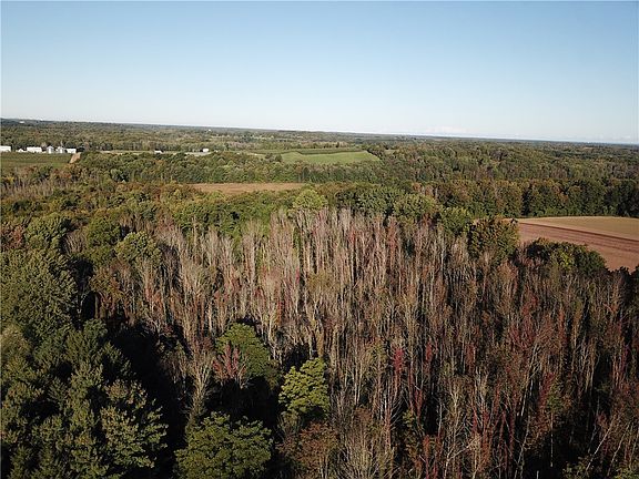 4th image of 4577 Cory Corners & Barn Only Rd Lot 638