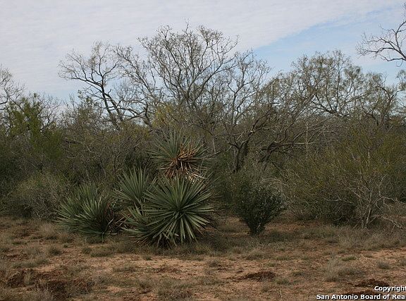 5th image of 000 County Road 642